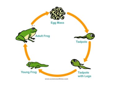 last_thumb1367178271